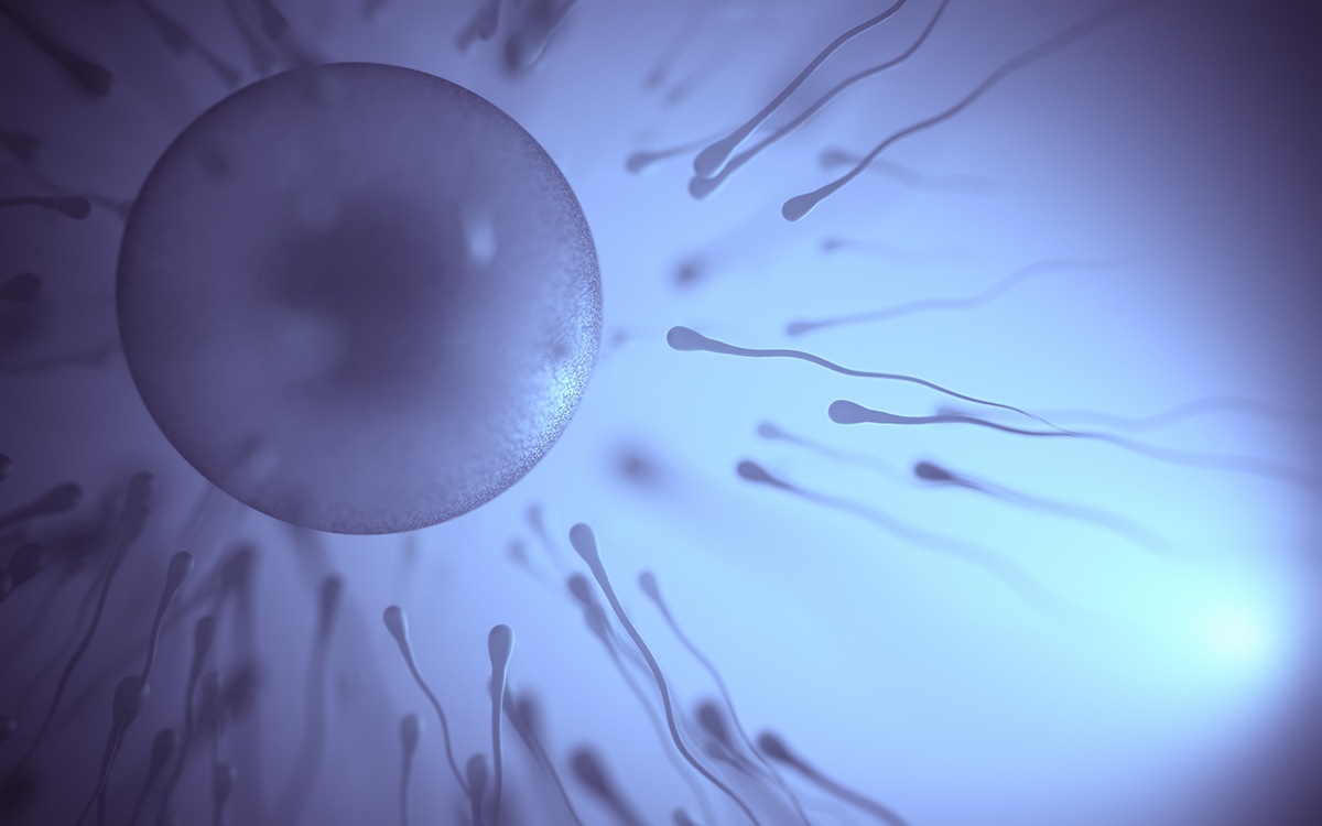 IVF Shipping in Hong Kong