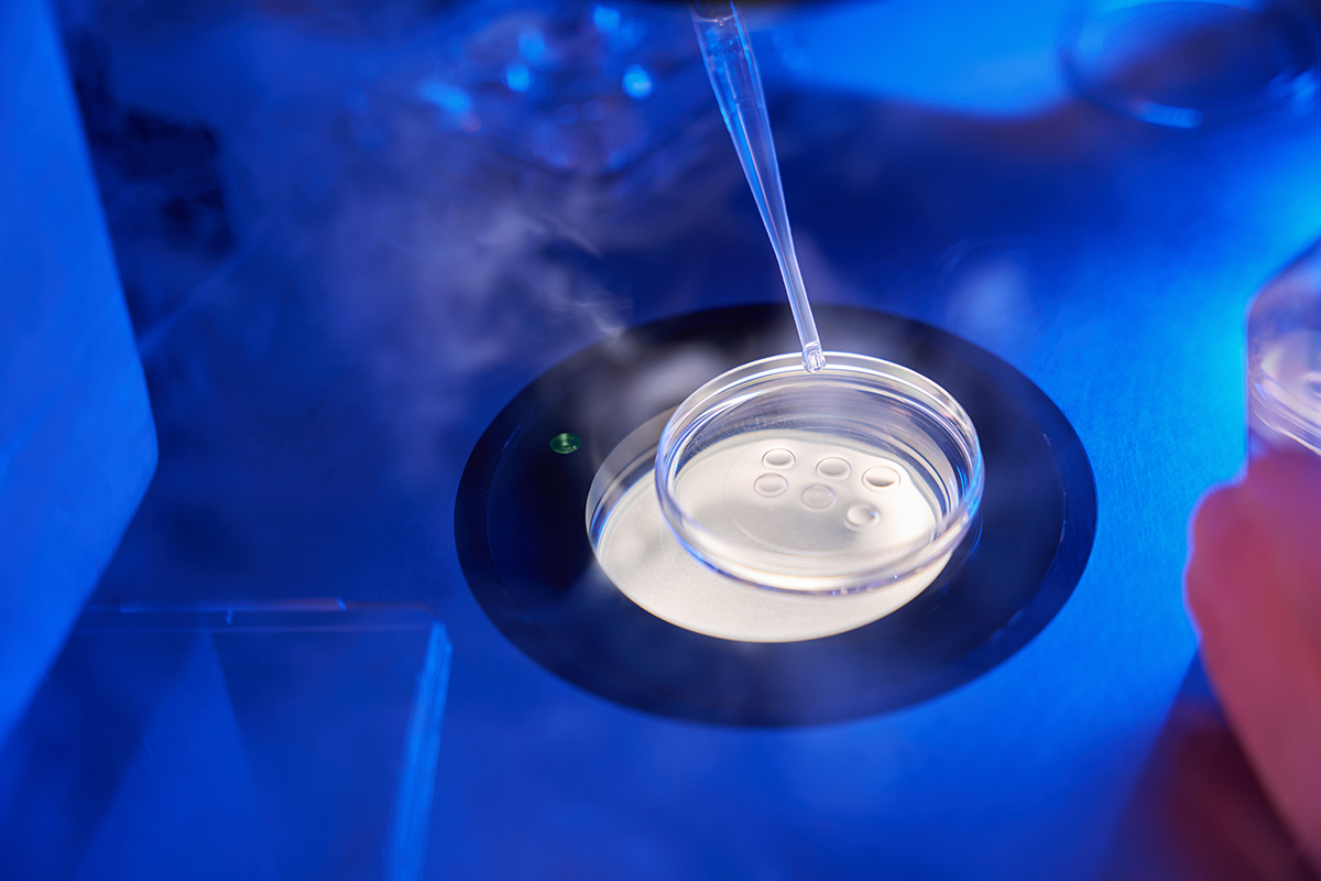 IVF Shipping in Hong Kong