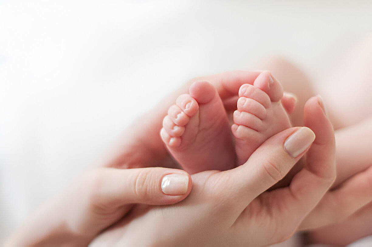 IVF Shipping Services