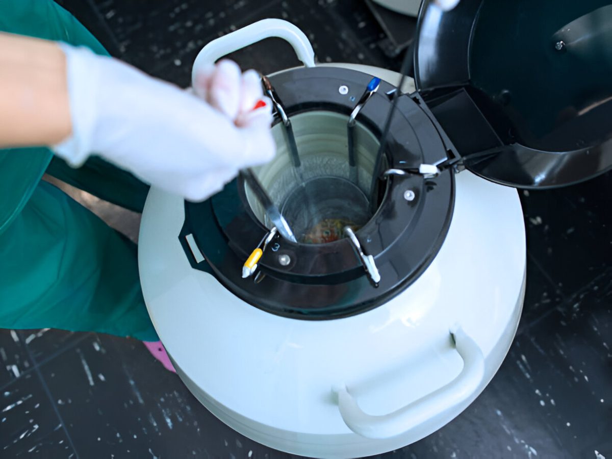 Cryogenic Shipping in Asia