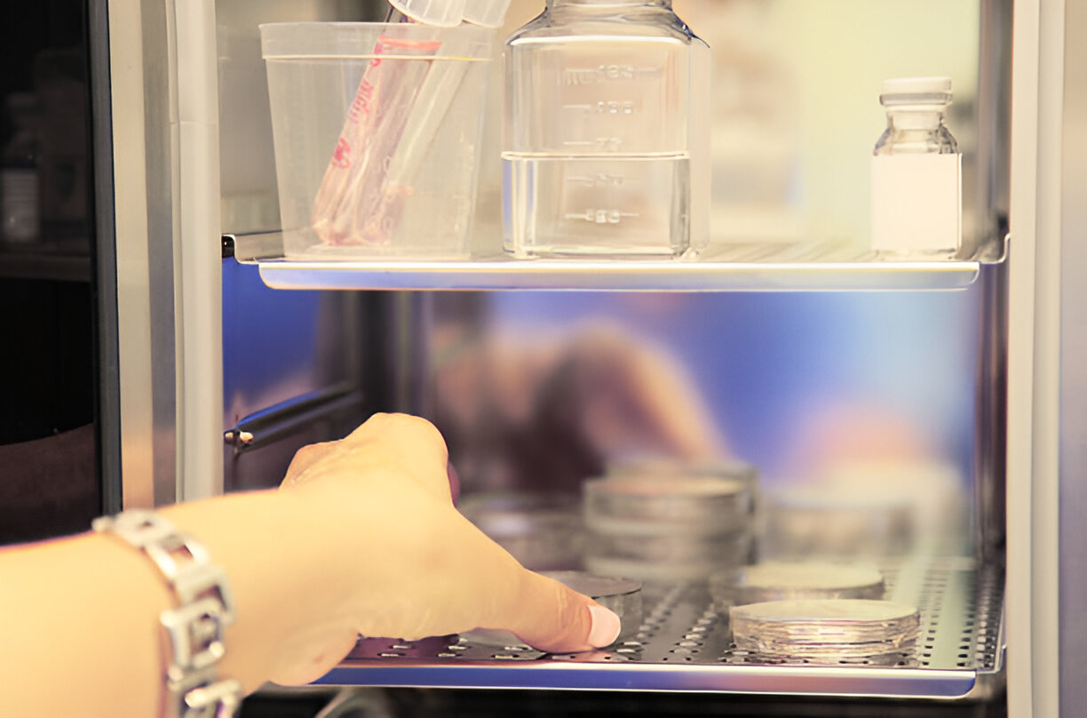 IVF Transport Solutions Asia