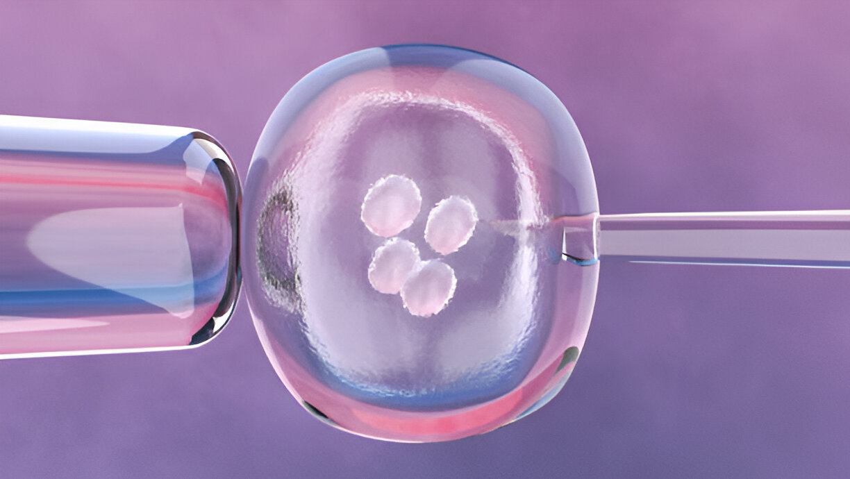 Fertility Embryo Courier Portland