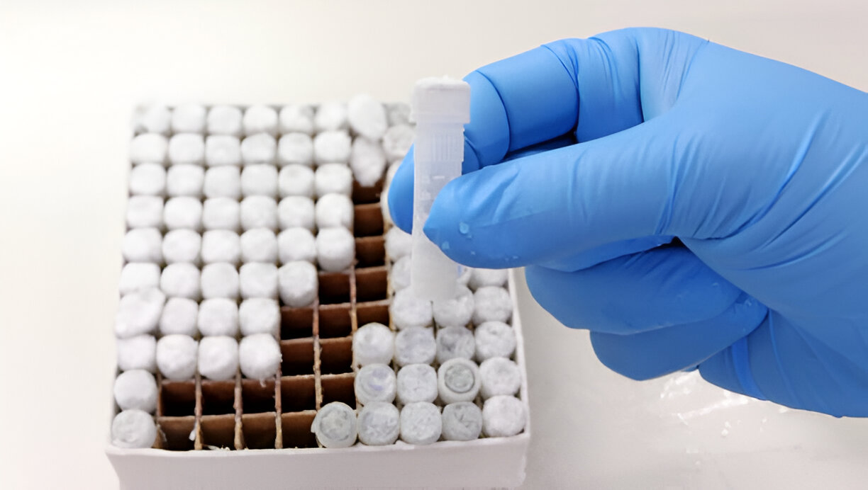 IVF Sample Transport in Japan