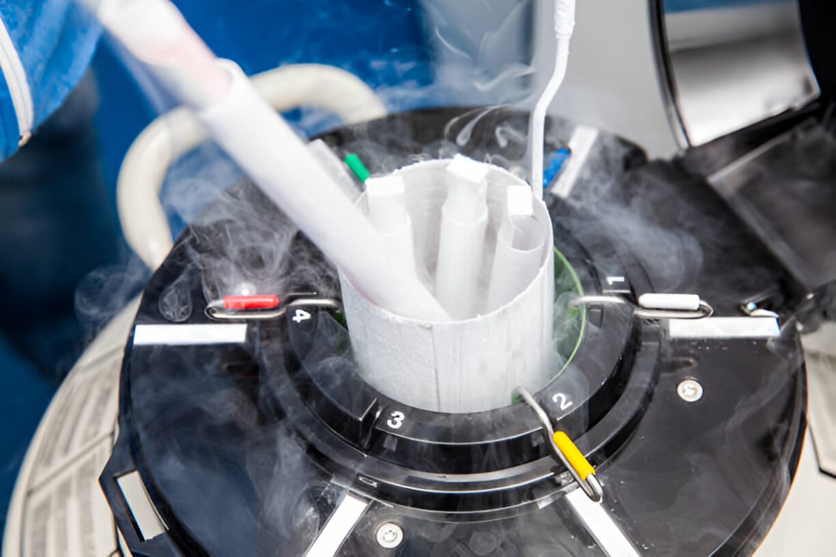 IVF Sample Transport in Singapore