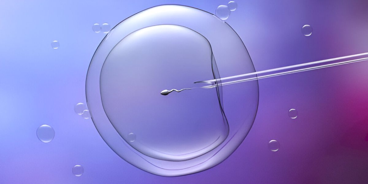 International Sperm Shipping