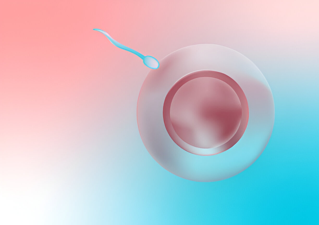 IVF Shipping Services Charlotte
